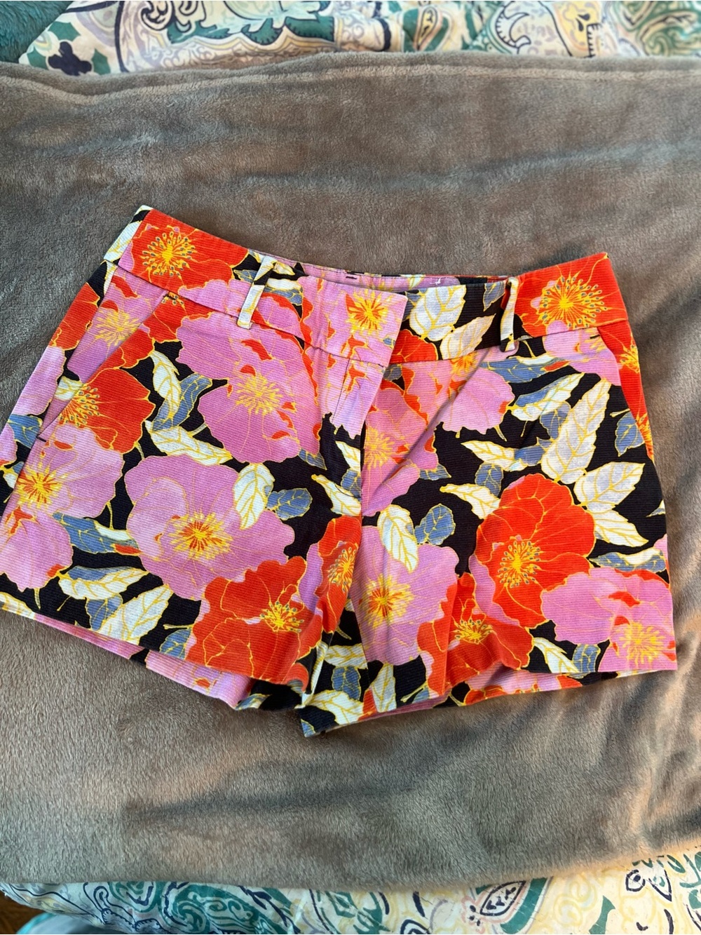 LOFT Floral Shorts - The Riviera Short